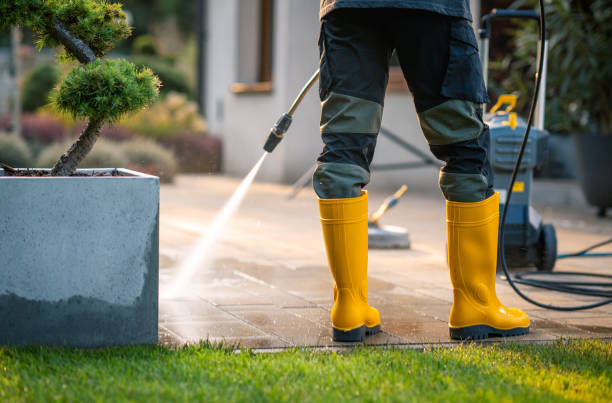 Best House Pressure Washing  in Toronto, OH